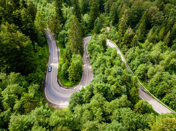 High angle view of road amidst trees in forest