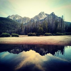 Reflection of trees in lake