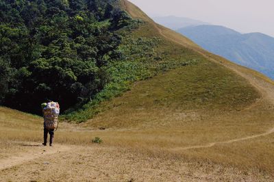 Rear view of person standing on landscape