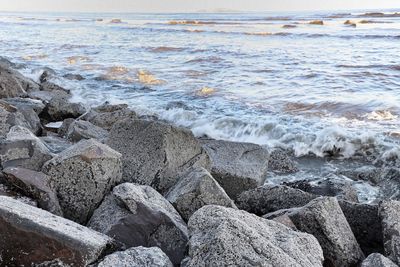 Scenic view of sea shore