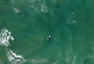 High angle view of man swimming in sea