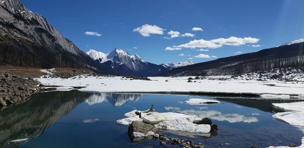 Scenic view of lake by snowcapped mountains against sky