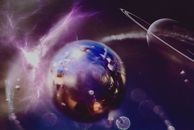 Close-up of jellyfish