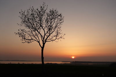 Silhouette bare tree on landscape against sky during sunset