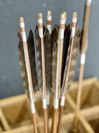 Close-up of arrows