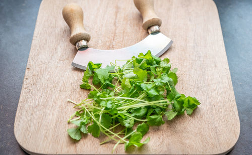 High angle view of vegetables on cutting board