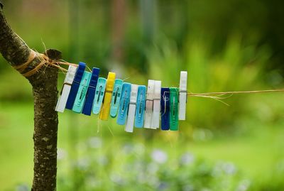 Close-up of clothespins hanging on rope