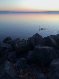 Scenic view of sea at sunset