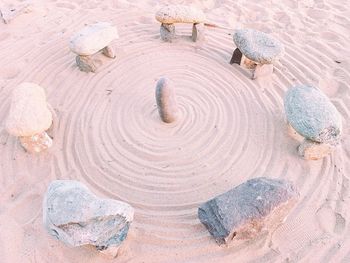 High angle view of shell on rock