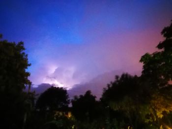 Low angle view of silhouette trees against sky at night
