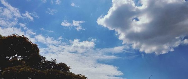 Low angle view of trees against cloudy sky