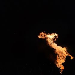 Bonfire against sky at night