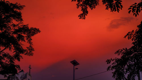 Low angle view of silhouette trees against orange sky