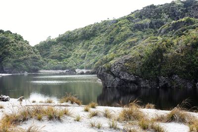 Scenic view of lake by trees against clear sky