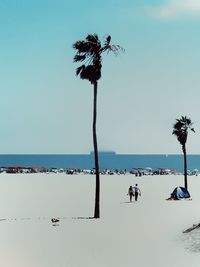 Palm tree on beach against clear sky