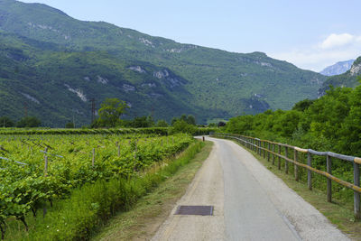 Road amidst field against sky