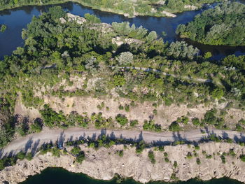 High angle view of trees on field