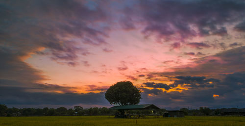 Scenic view of landscape against sky during sunset