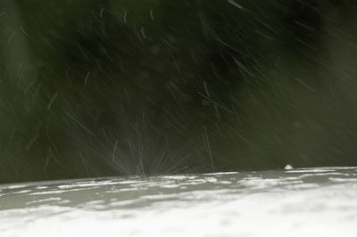 Close-up of water drops on leaf