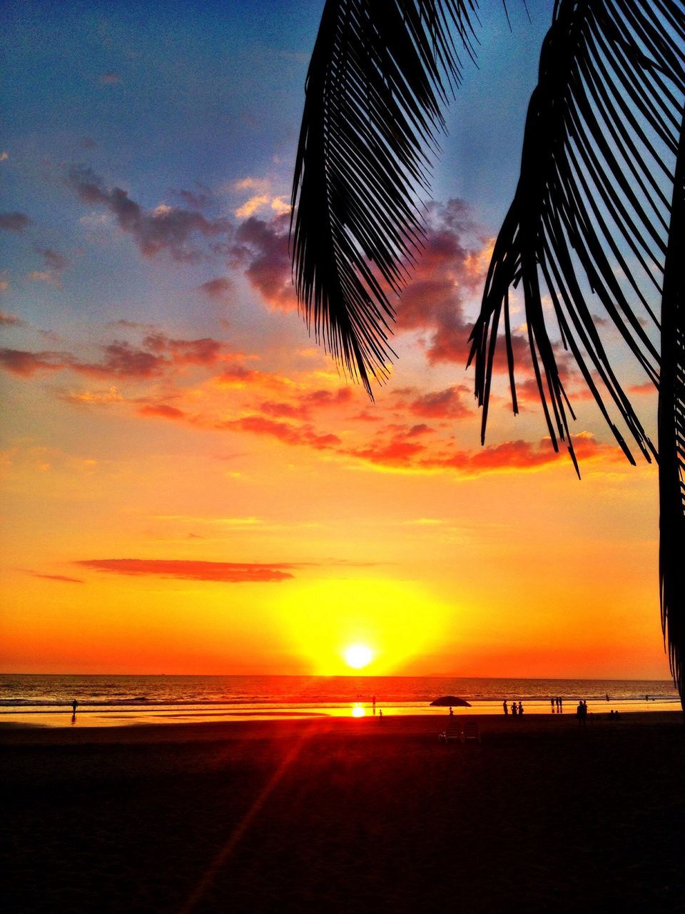 sea, sunset, beach, horizon over water, water, sky, palm tree, scenics, tranquil scene, tranquility, beauty in nature, silhouette, sun, shore, orange color, nature, idyllic, sand, sunlight, cloud - sky