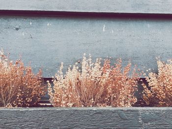 View of built structure