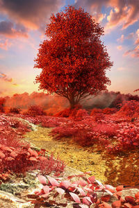 Autumn leaves on field against sky during sunset