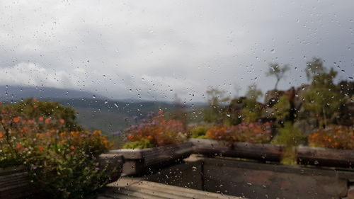 Raindrops on glass window of rainy season