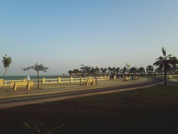 Palm trees on field against clear sky