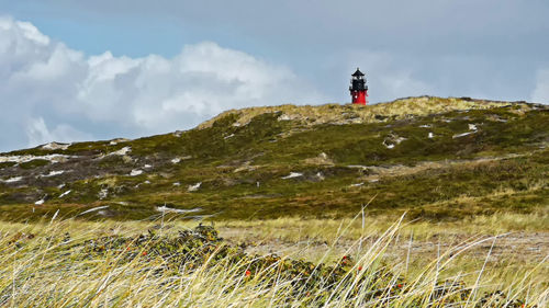 Lighthouse in hörnum on island sylt with grass in foreground