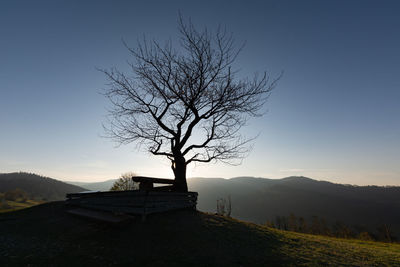 Silhouette bare tree on mountain against sky during sunset