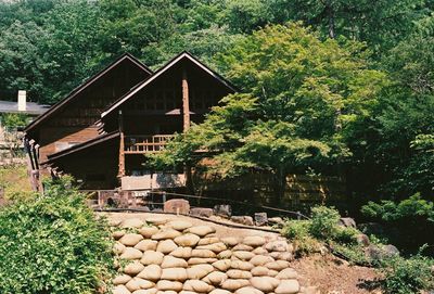 View of wooden house and trees in forest