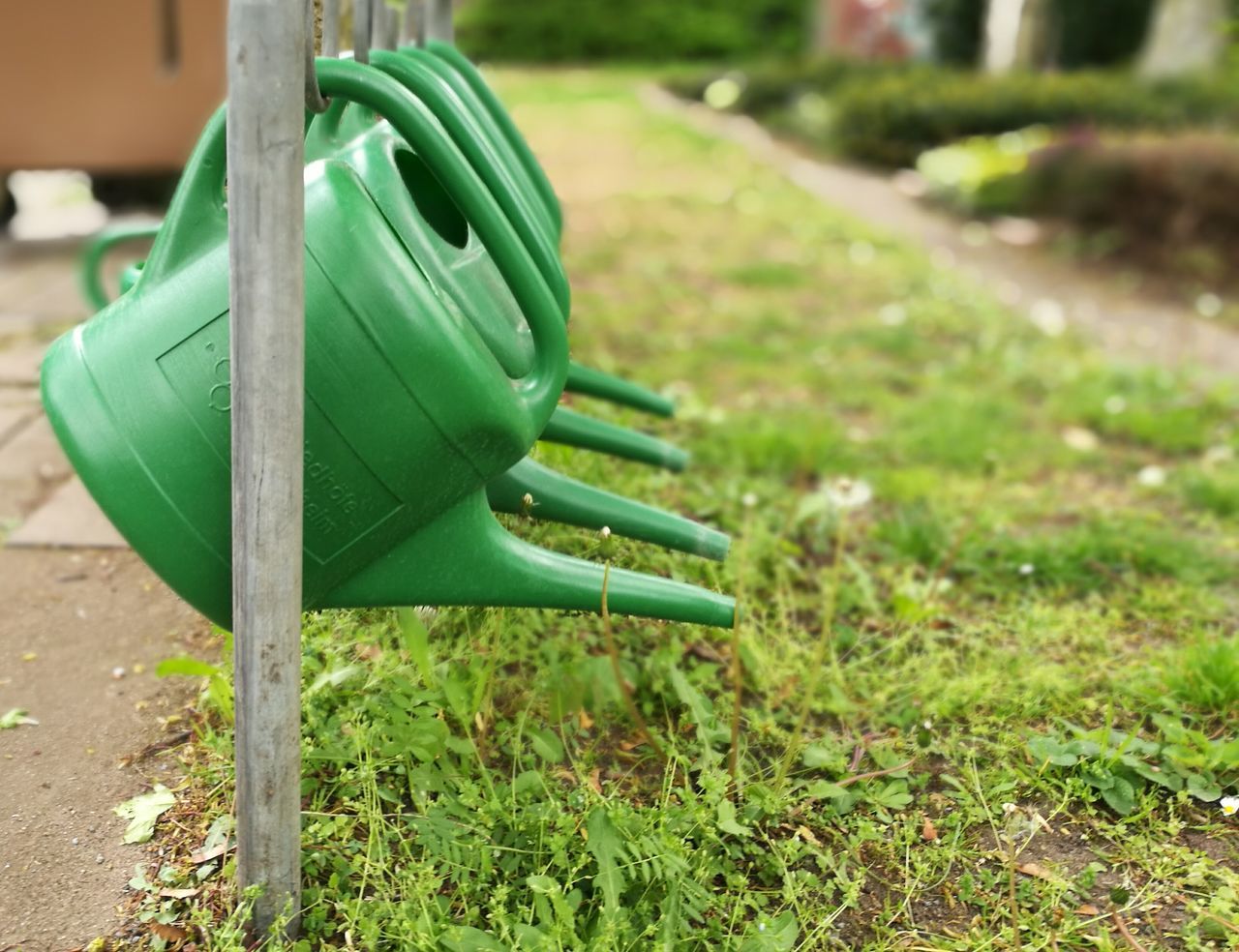 green color, focus on foreground, outdoors, day, no people, close-up, grass, nature