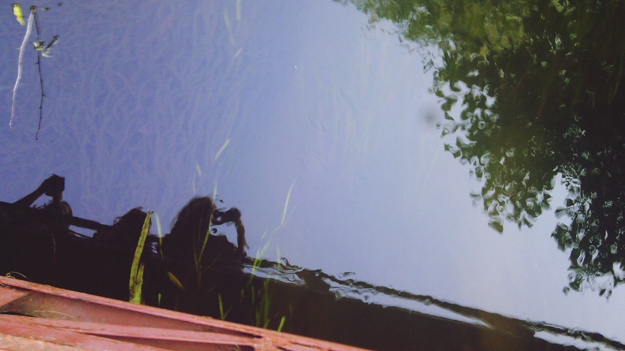 water, nautical vessel, lake, tree, nature, boat, reflection, wood - material, sky, moored, transportation, mode of transport, tranquility, high angle view, outdoors, day, river, built structure, no people, beauty in nature