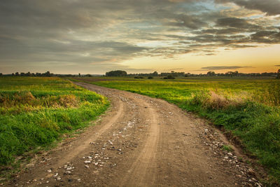Dirt road with stones, horizon and evening clouds on the sky