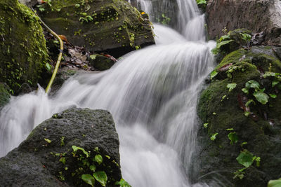 The path of the springs flowing into the lake