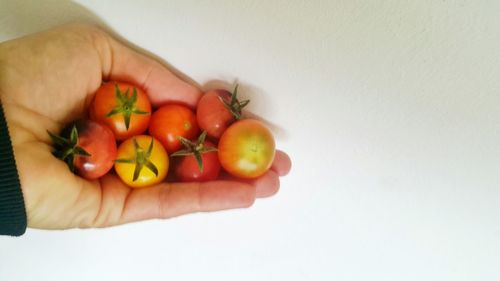 Midsection of person holding fruits
