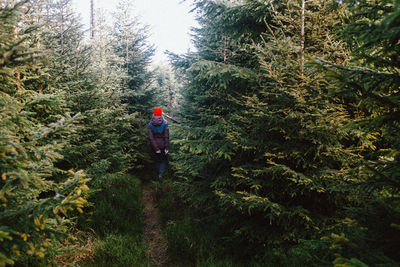 Rear view of man walking in forest