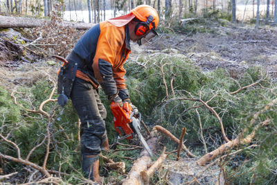 Male lumberjack cutting tree with chainsaw