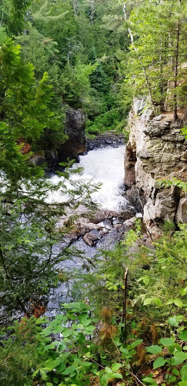 STREAM AMIDST ROCKS IN FOREST