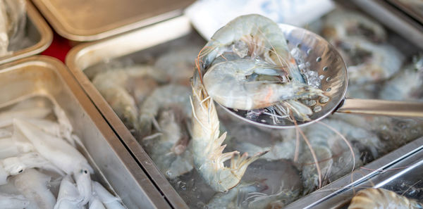 Female hand choosing sea fresh shrimp for cooking at the seafood market.