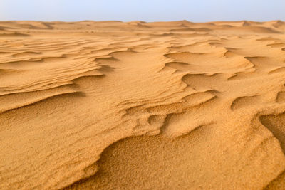 Close-up of sand dune on beach