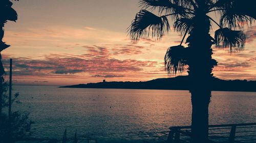 Silhouette of palm trees at sunset