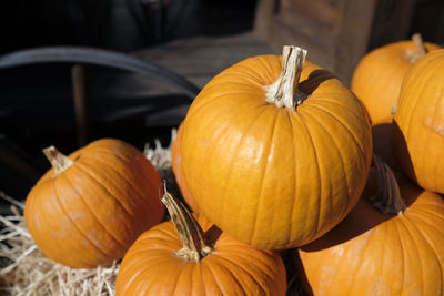 Close-up of pumpkin on table at market during halloween