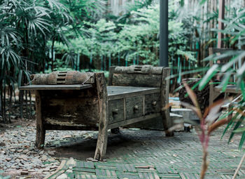 View of an empty bench on field in forest