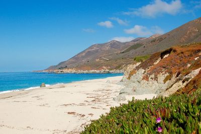 Scenic view of beach