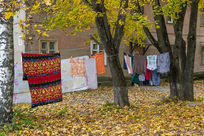 Clothes drying against trees during autumn