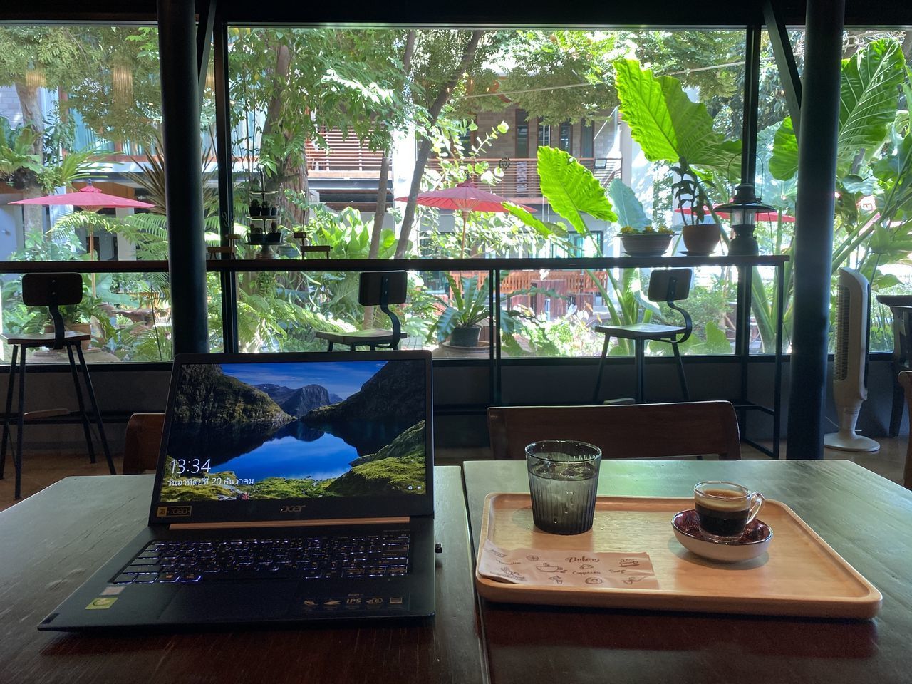 POTTED PLANTS ON GLASS WINDOW