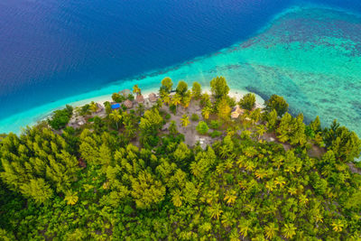 Scenic view of sea and trees