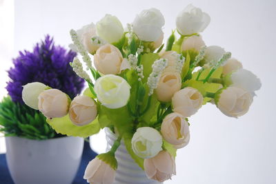 Close-up of white flowering plant