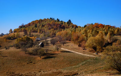 Hills in the fall season, fantanele village, sibiu county, romania